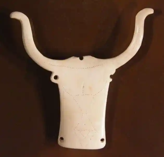 A bull head with dotted hourglass shape, pubic triangle